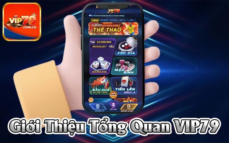 Giới thiệu tổng quan Vip79